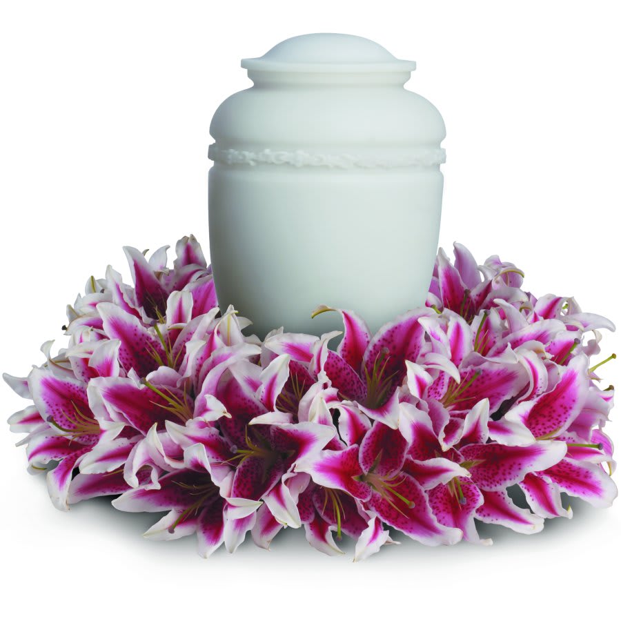 Stargazer Urn Tribute