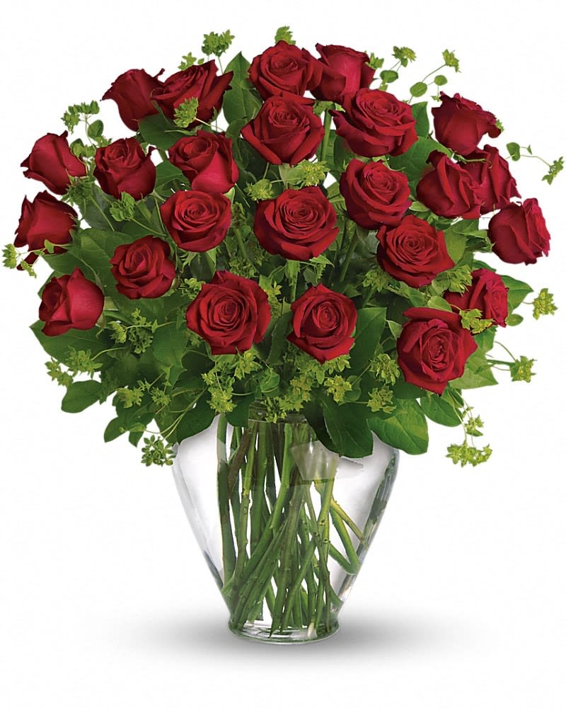 My Perfect Love -  2 Dozen Long Stemmed Red Roses