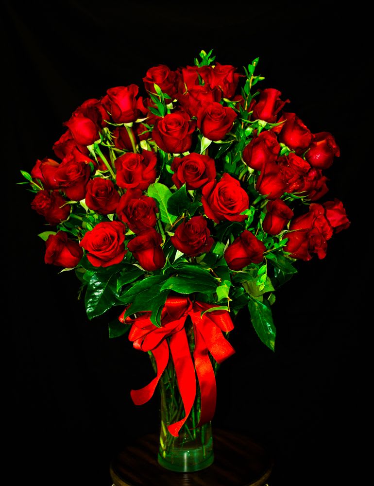 Spectacular 50 Red Rose