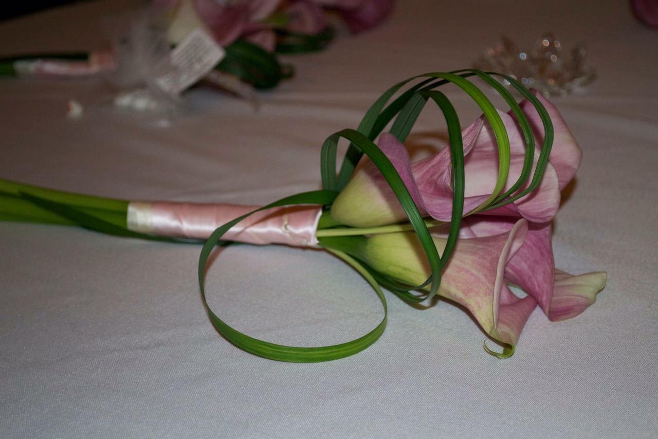 Weddings Events - Events Photo Gallery