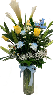 Playtime for Baby Boy