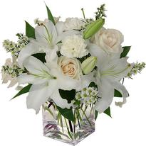 CLASSIC ALL-WHITE BLOOMS