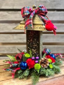 It's Simply for the Birds!