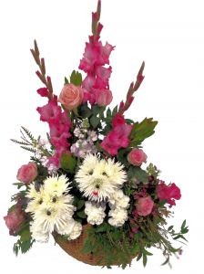 Who Let the Dogs Out?