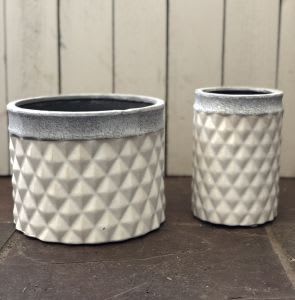 White Pineapple Texture