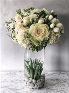 Sympathy and Funeral