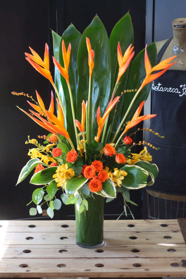 Parakeets and leaves