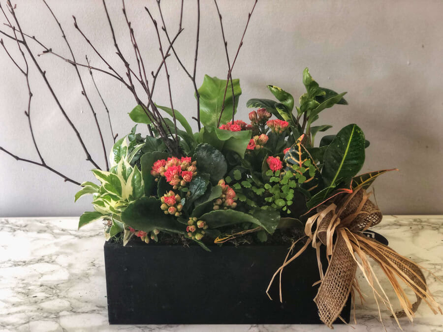 European Dish Gardens Flower Bouquet