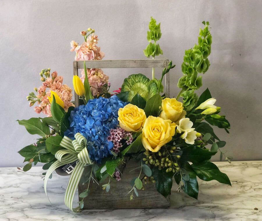 Spring is Here to Stay