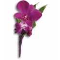 Perfect Purple Orchid Boutonniere