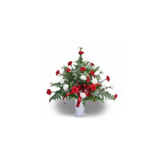 5F-24 Carnation Urn