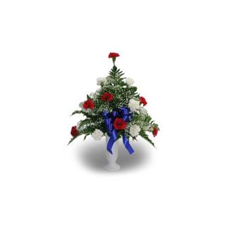 5E-12 Carnation Urn