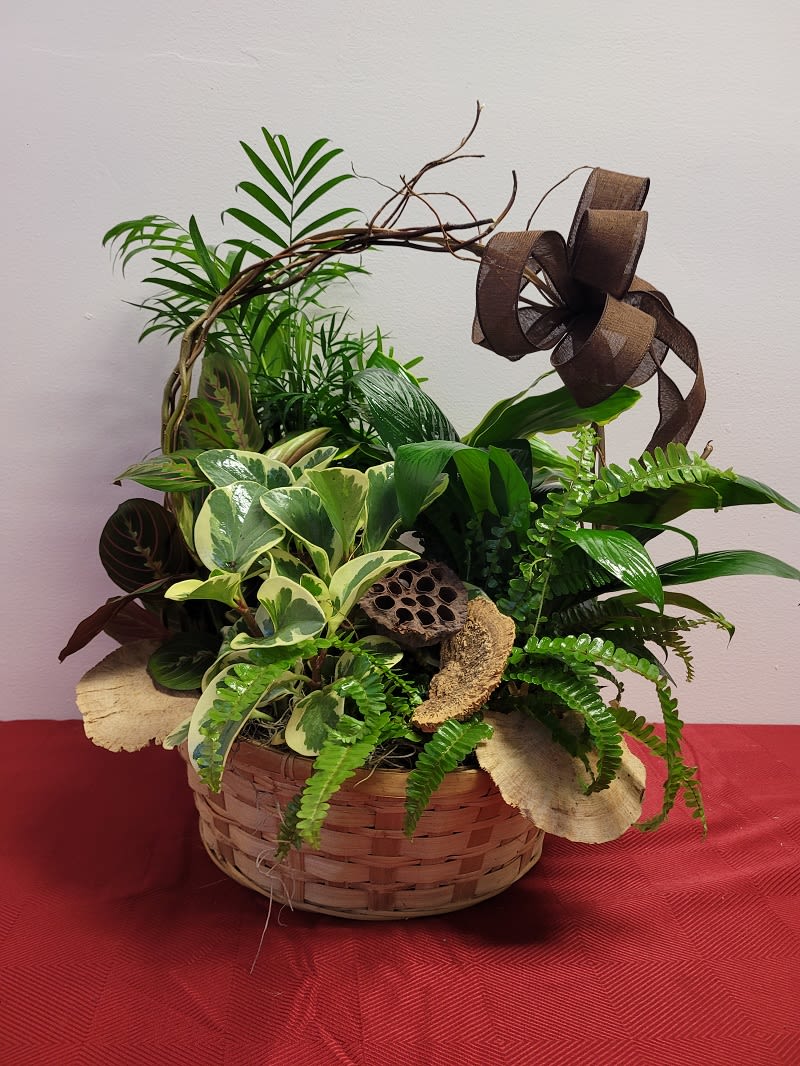 Adolfos Creation Garden Basket Flower Bouquet