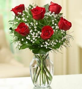 Half Dozen Roses Flower Bouquet