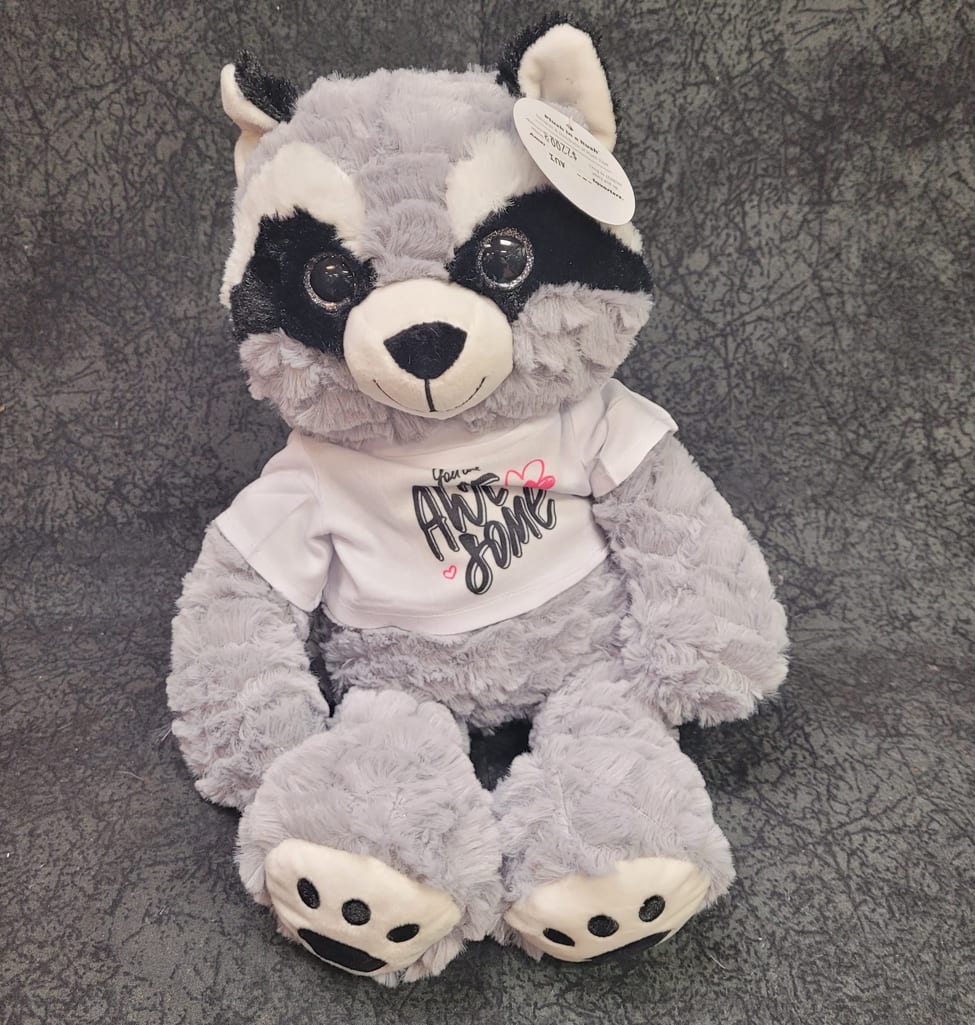GAP16 - Raccoon