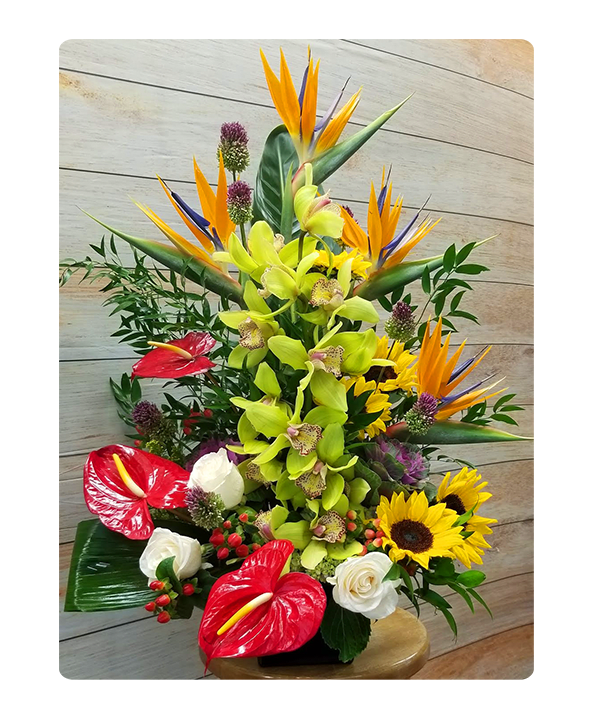 Jersey City NJ Florist FREE Flowers Delivery in Jersey City NJ by
