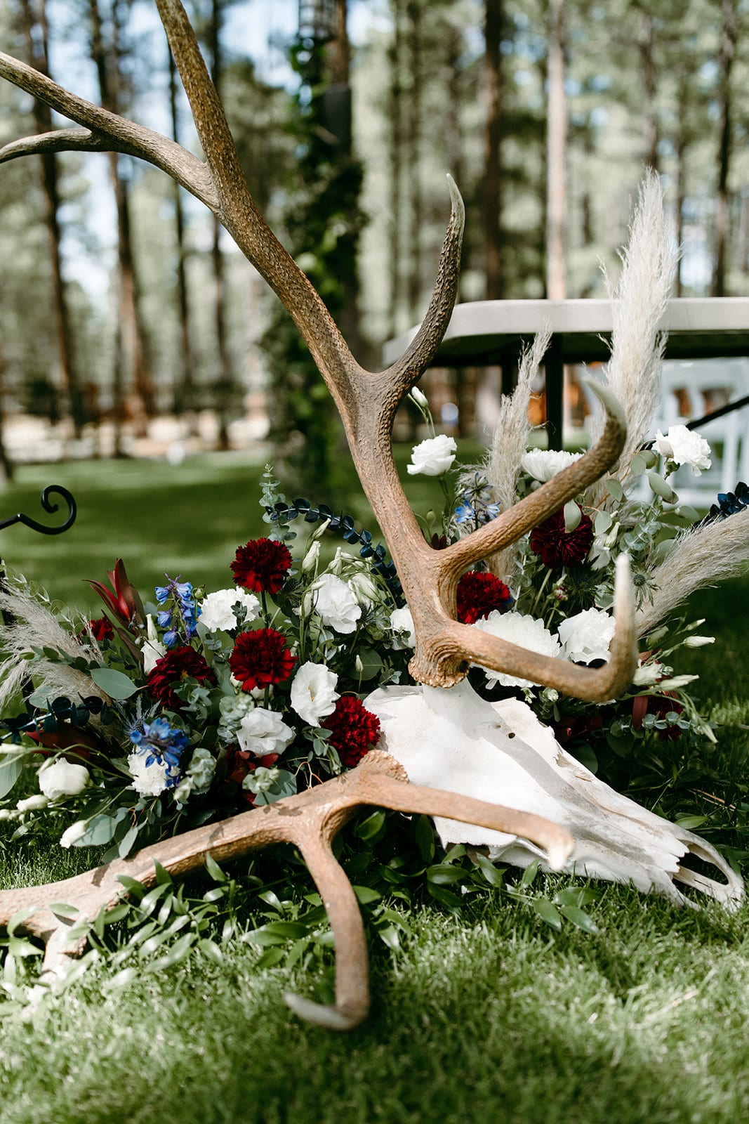 Hunter 2021 - Photographer: The Shepards