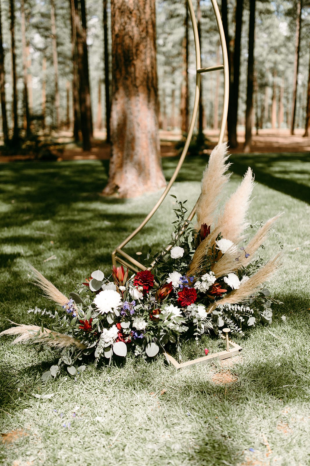 Hunter 2021 - Photographer: The Shepards