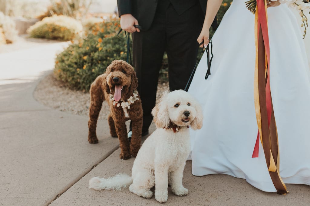 Brown 2021 - Photographer: Macy Frances