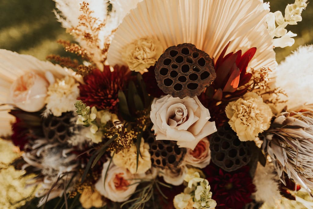 Brown 2021 - Photographer: Macy Frances