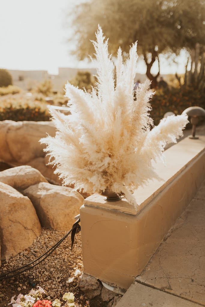 Brown 2021 - Photographer: Macy Frances