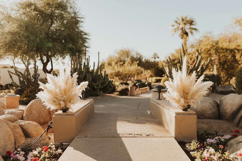 Brown 2021 - Photographer: Macy Frances