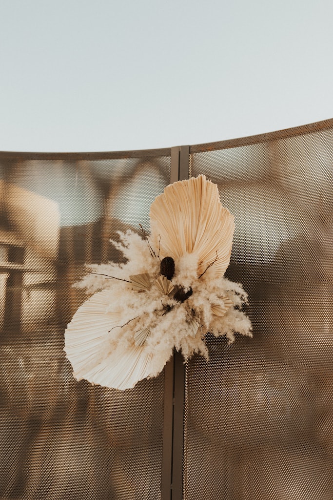 Brown 2021 - Photographer: Macy Frances