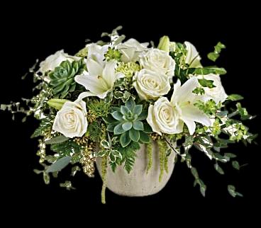 Daylily Flourishing Beauty