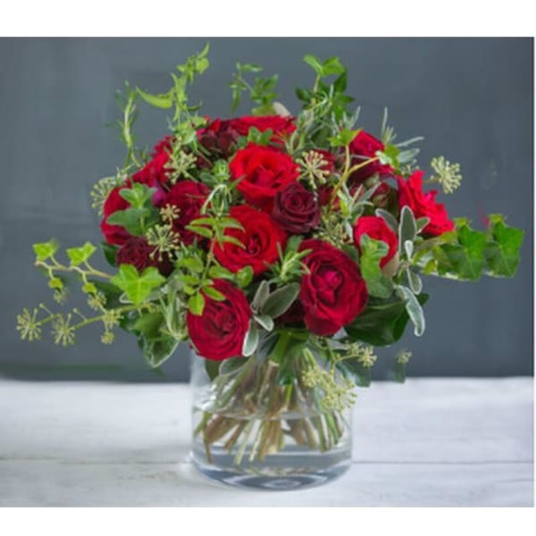 Modern Classic Roses