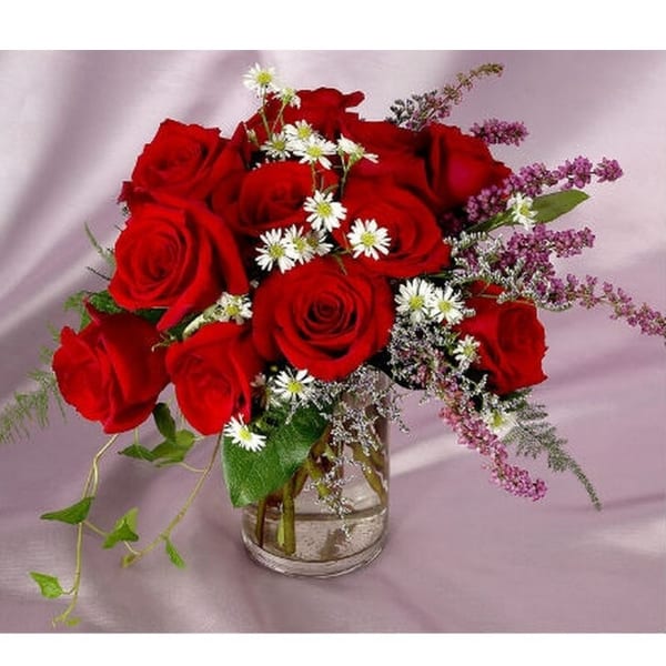 My Beautiful Darling