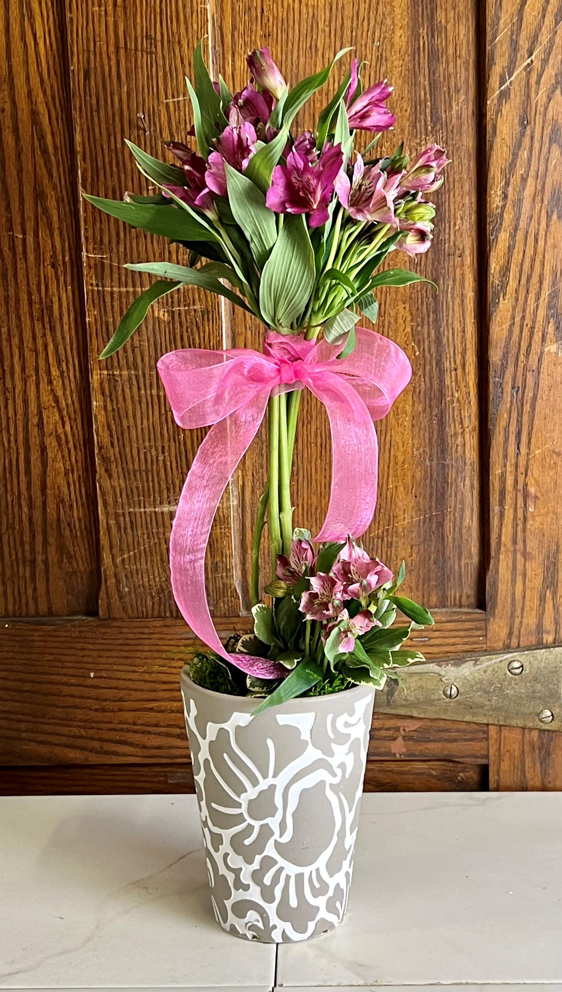 Alstroemeria Topiary
