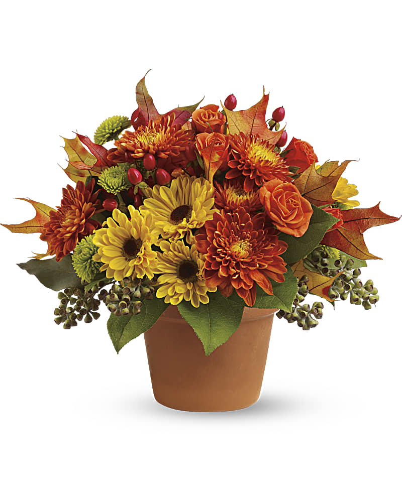 Sugar Maples Flower Bouquet