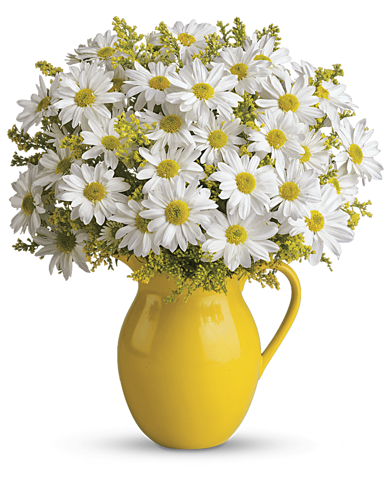 Teleflora's Sunny Day Pitcher of Daisies Flower Bouquet