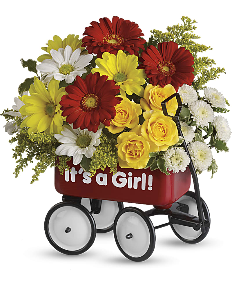 Baby's Wow Wagon by Teleflora - Girl