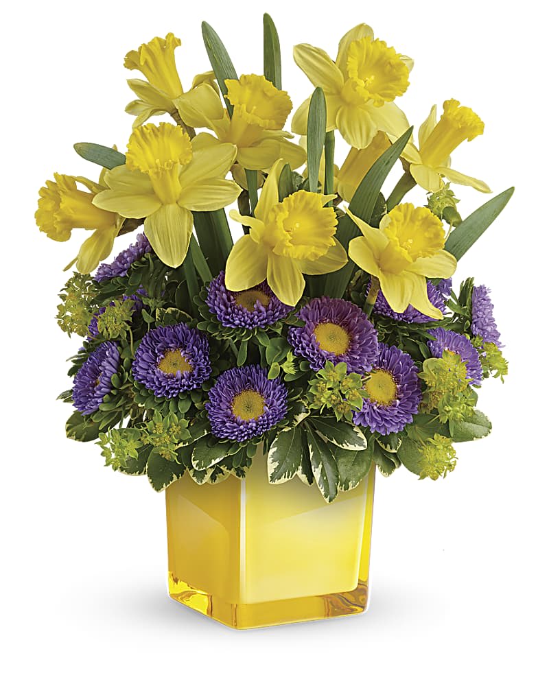 Teleflora's Playful Springtime Daffodil Bouquet