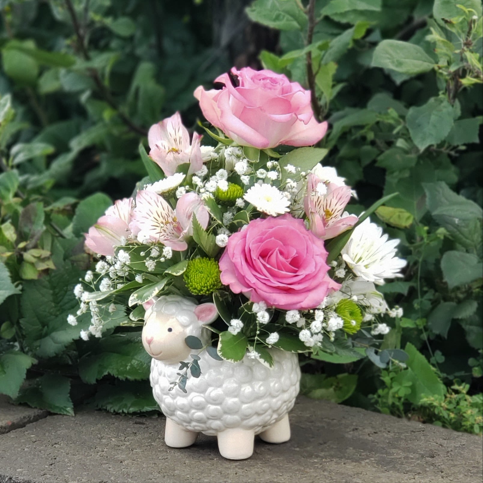 Sweet Lambkin for Baby Girl