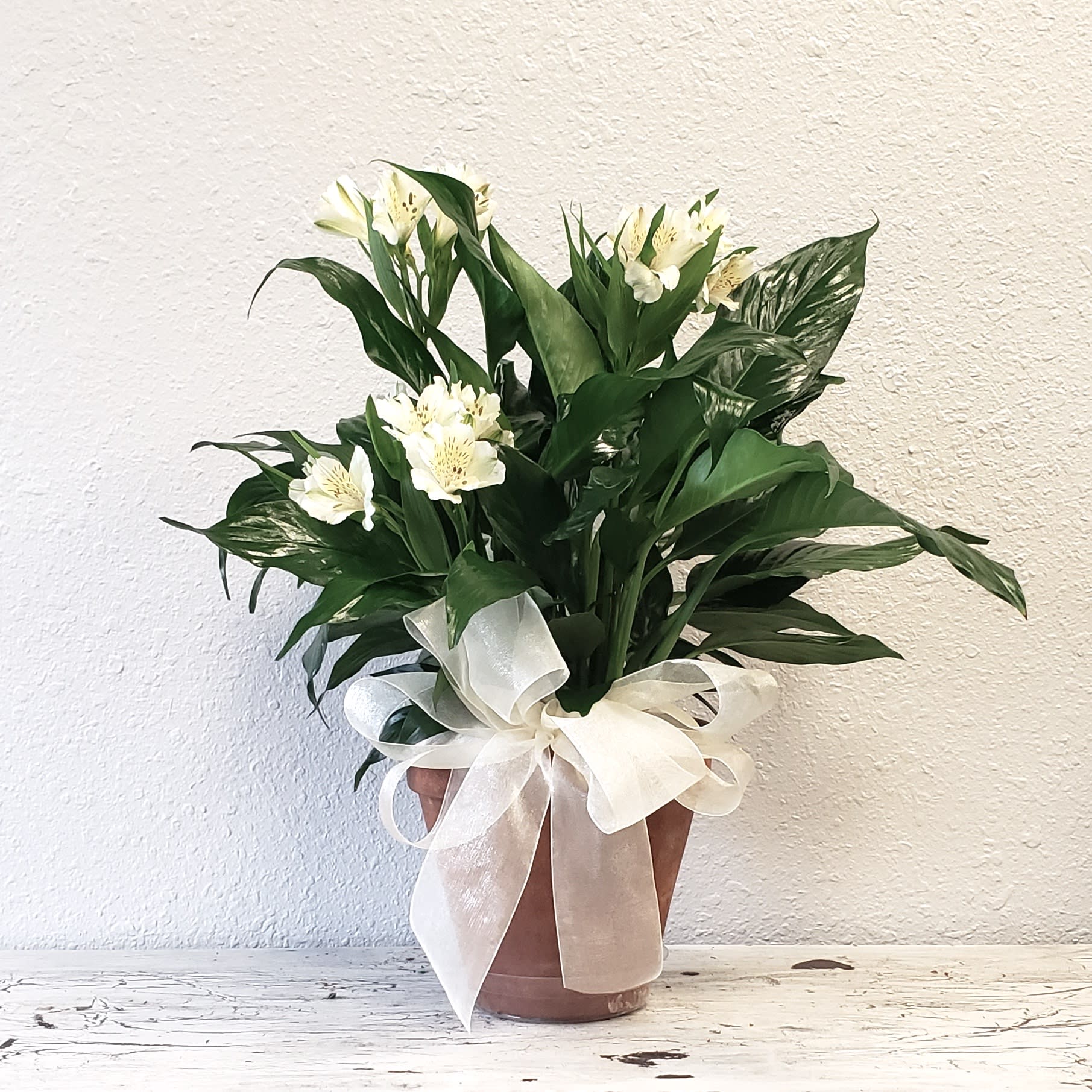 Peace Lily with Cut Alstroemeria Accent Flowers Flower Bouquet