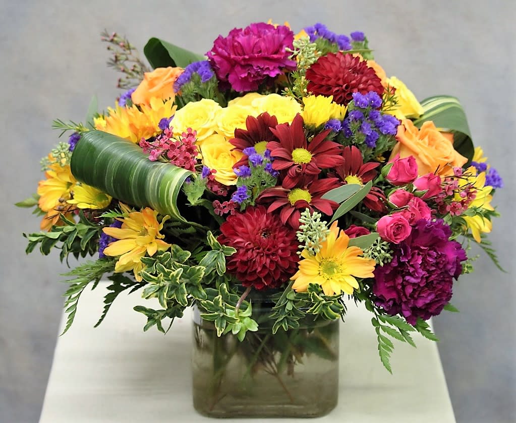 A Festival of Colours