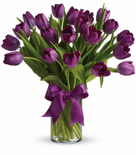 Passionate Purple Tulips