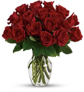 Enduring Passion - 12 Red Roses Flower Bouquet