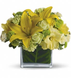 Oh Happy Day by Teleflora