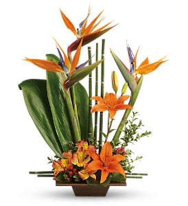 Teleflora's Exotic Grace Flower Bouquet