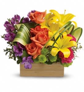 Teleflora's Shades Of Brilliance Bouquet Flower Bouquet