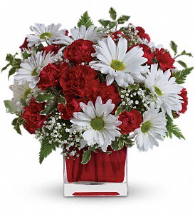 Red and White Delight by Teleflora Flower Bouquet