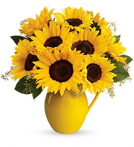 Teleflora's Sunny Day Pitcher of Sunflowers