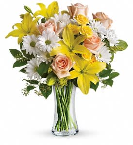 Teleflora's Daisies and Sunbeams Flower Bouquet