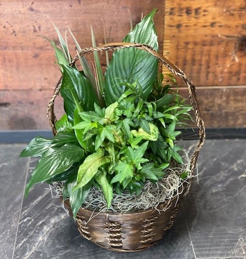 10' DishGarden Basket