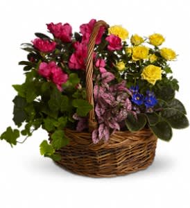 Blooming Garden Basket Flower Bouquet