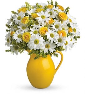 Teleflora's Sunny Day Pitcher of Daisies