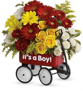 Baby's Wow Wagon by Teleflora - Boy